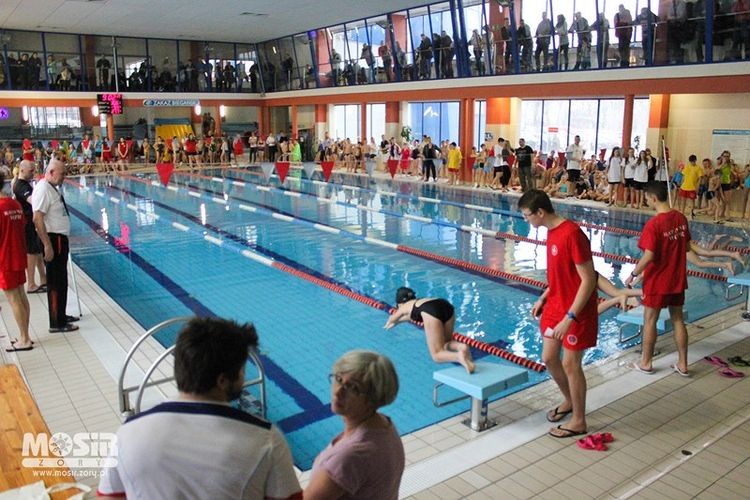 Ponad 300 uczniów wzięło udział w międzyszkolnych mistrzostwach pływania, MOSiR w Żorach