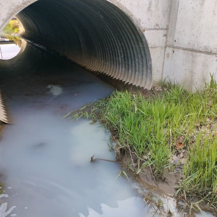 Ruda zanieczyszczona? Sprawę badają śledczy, Wody Polskie RZGW Gliwice, WIOŚ Katowice