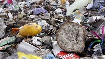 320 kg śmieci rocznie wytwarza przeciętny żorzanin. I nie przestrzega segregacji