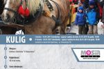 Akcja Zima 2017: kulig z ogniskiem na malowniczej Stecówce, MOSiR w Żorach