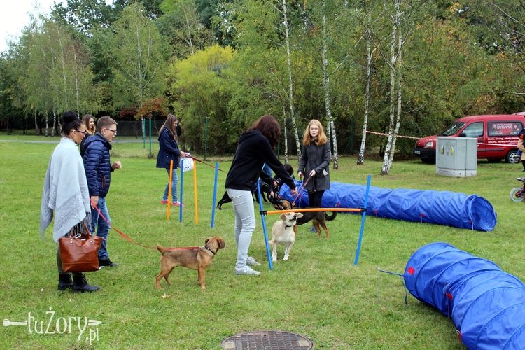 Miłośnicy psów spotkali się na VII Pikniku „Pod Psem”, Wioleta Kurzydem
