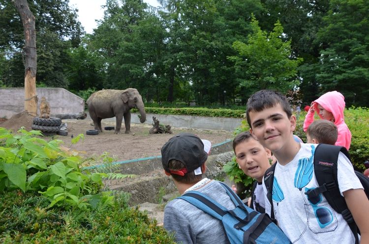 Wychowankowie Horyzontu odwiedzili egzotyczne zwierzęta we wrocławskim zoo, Robert Nowak