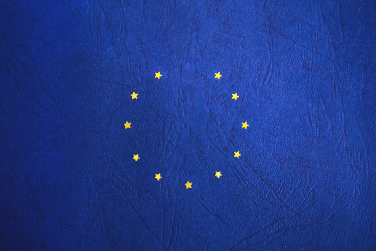 Wyniki wyborów do Europarlamentu 2019. Jak głosowali żorzanie?, 