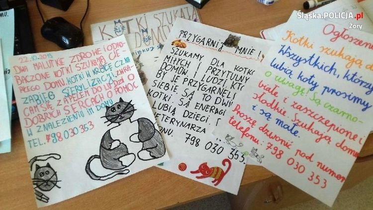 Osiny: dzieci robiły plakaty, by pomóc porzuconym kotkom, Policja Żory