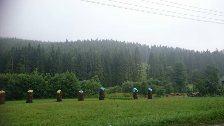 Dzieci odpoczywają w górach - dzięki WFOŚiGW w Katowicach, WFOŚiGW Katowice