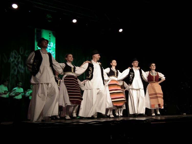 Tancerze z Polski, Serbii i Węgier zaprezentowali się w Żorach, Materiały prasowe
