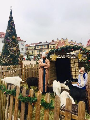 Żywa Zagroda Bożonarodzeniowa na żorskim rynku, MOK Żory