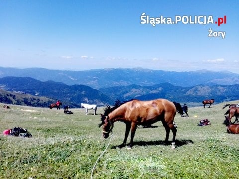 Niezwykła wyprawa konna mieszkanki Żor po górach Kaukazu, Archiwum prywatne