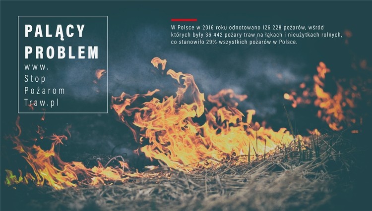 Straż przestrzega: pożary traw mogą skończyć się tragicznie!, KGPSP