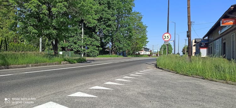 Czy nieskoszone trawy przeszkadzają kierowcom w Żorach?, Czytelniczka
