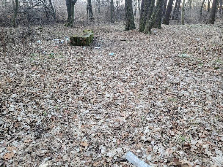 Żory: młodzież pozostawiła po sobie śmieci i opakowania po lekach w baranowickim lesie, Ewa Kałus