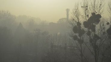 Alarm smogowy III stopnia: normy przekroczone o 400%!