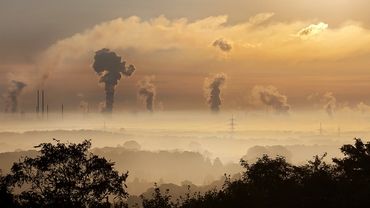 Program Czyste Powietrze to fikcja – Polski Alarm Smogowy krytycznie o realizacji rządowego programu