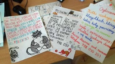 Osiny: dzieci robiły plakaty, by pomóc porzuconym kotkom