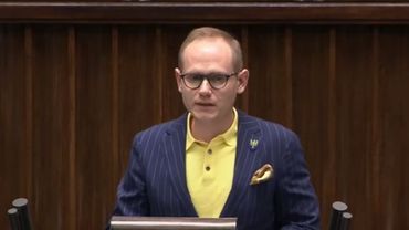 Sejm ustanowił Narodowy Dzień Powstań Śląskich. Poseł z Rybnika był przeciw