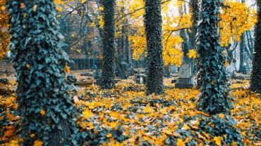 Cmentarze w Żorach: zaduszkowe impresje fotograficzne