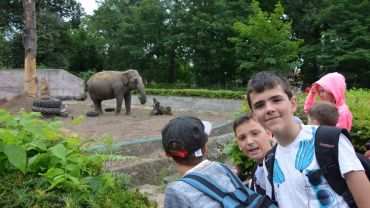Wychowankowie Horyzontu odwiedzili egzotyczne zwierzęta we wrocławskim zoo