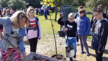 Drzewa połączyły pokolenia w Parku Cegielnia