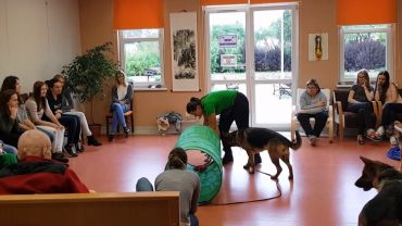 Szkolenie psów „Nad Rudą” dało pokaz w żorskim hospicjum