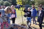 Drzewa połączyły pokolenia w Parku Cegielnia