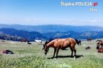 Niezwykła wyprawa konna mieszkanki Żor po górach Kaukazu, 