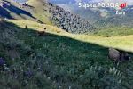 Niezwykła wyprawa konna mieszkanki Żor po górach Kaukazu, 