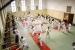 Żory: udany początek sezonu karateków z „Shoguna”, mat. prasowe