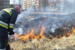 Straż przestrzega: pożary traw mogą skończyć się tragicznie!, archiwum