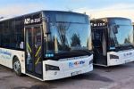 Bezpłatna Komunikacja Miejska: nowe duże autobusy w Żorach, UM Żory
