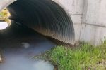 Ruda zanieczyszczona? Sprawę badają śledczy, Wody Polskie RZGW Gliwice, WIOŚ Katowice