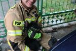 Udana akcja strażaków! Rozebrali samochód i uratowali psa, KM PSP Żory