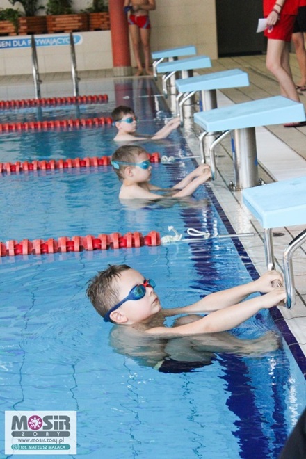 Mistrzostwa Żor w pływaniu: szkoły podstawowe, MOSiR Żory