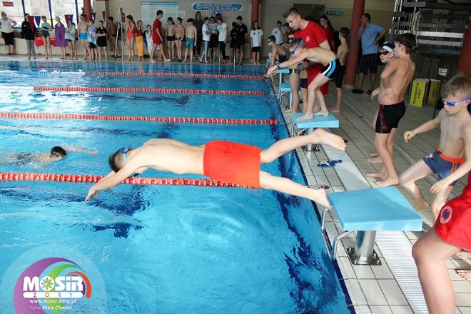 XVII Międzyszkolne Mistrzostwa Żor w Pływaniu