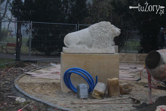 Ważące 600 kg lwy wróciły po renowacji do parku, mk