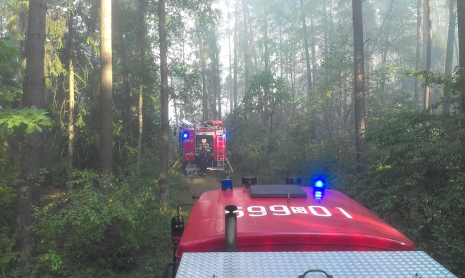 Pożar lasu między Żorami a Woszczycami. Na miejscu działało 17 zastępów strażaków, OSP Żory - Kleszczów